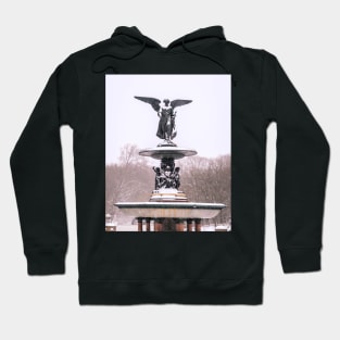 Central Park Winter Hoodie